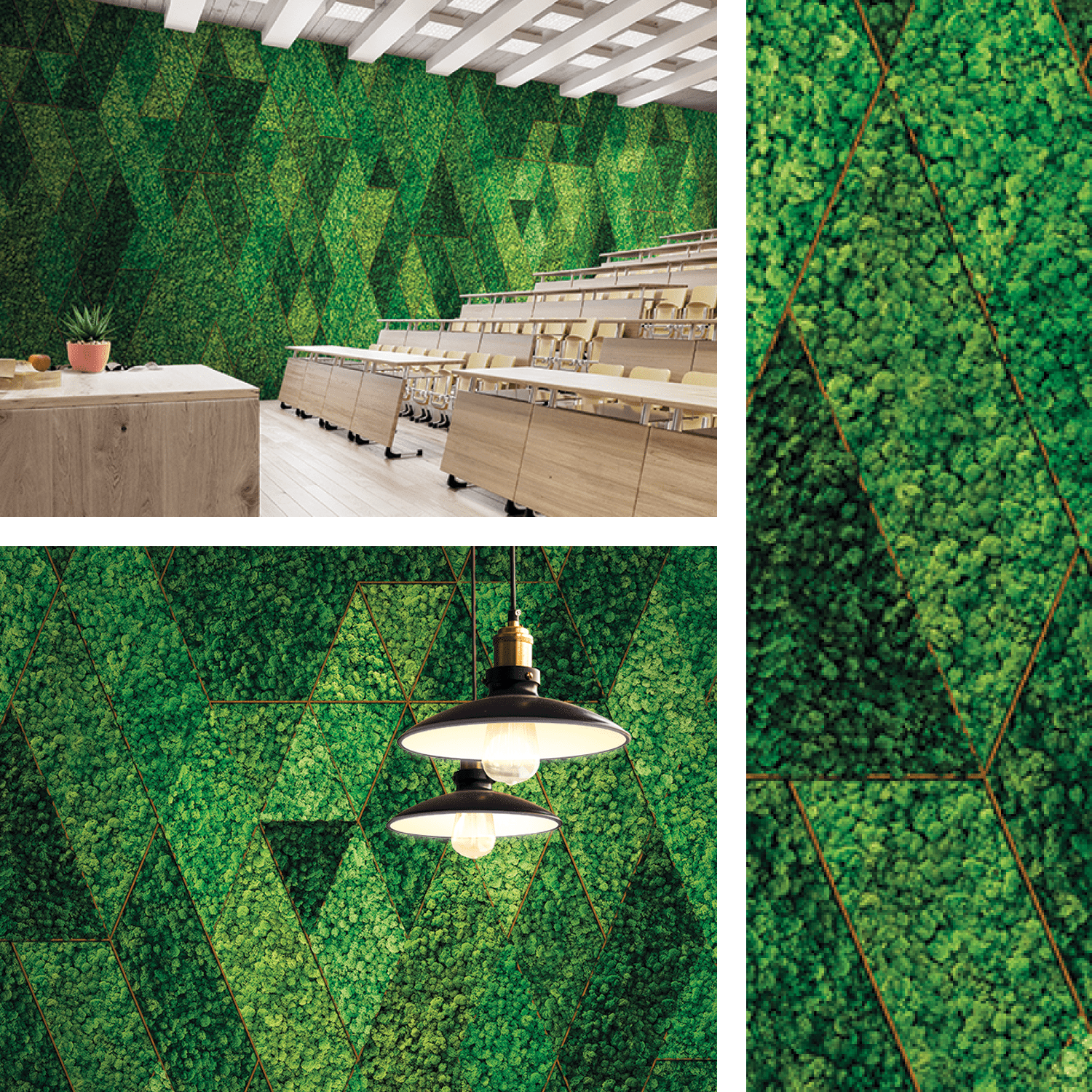 Living Walls vs. Moss Walls: Our Most Frequently Asked Questions — Planted  Design