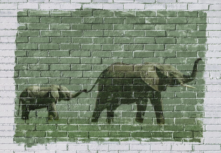 Bricks Gone Wild