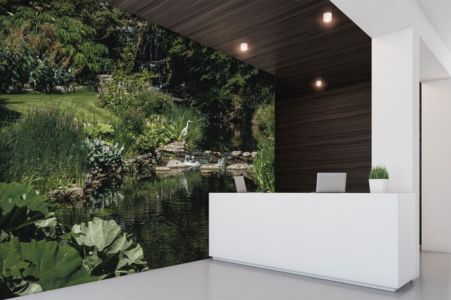 Garden Pond