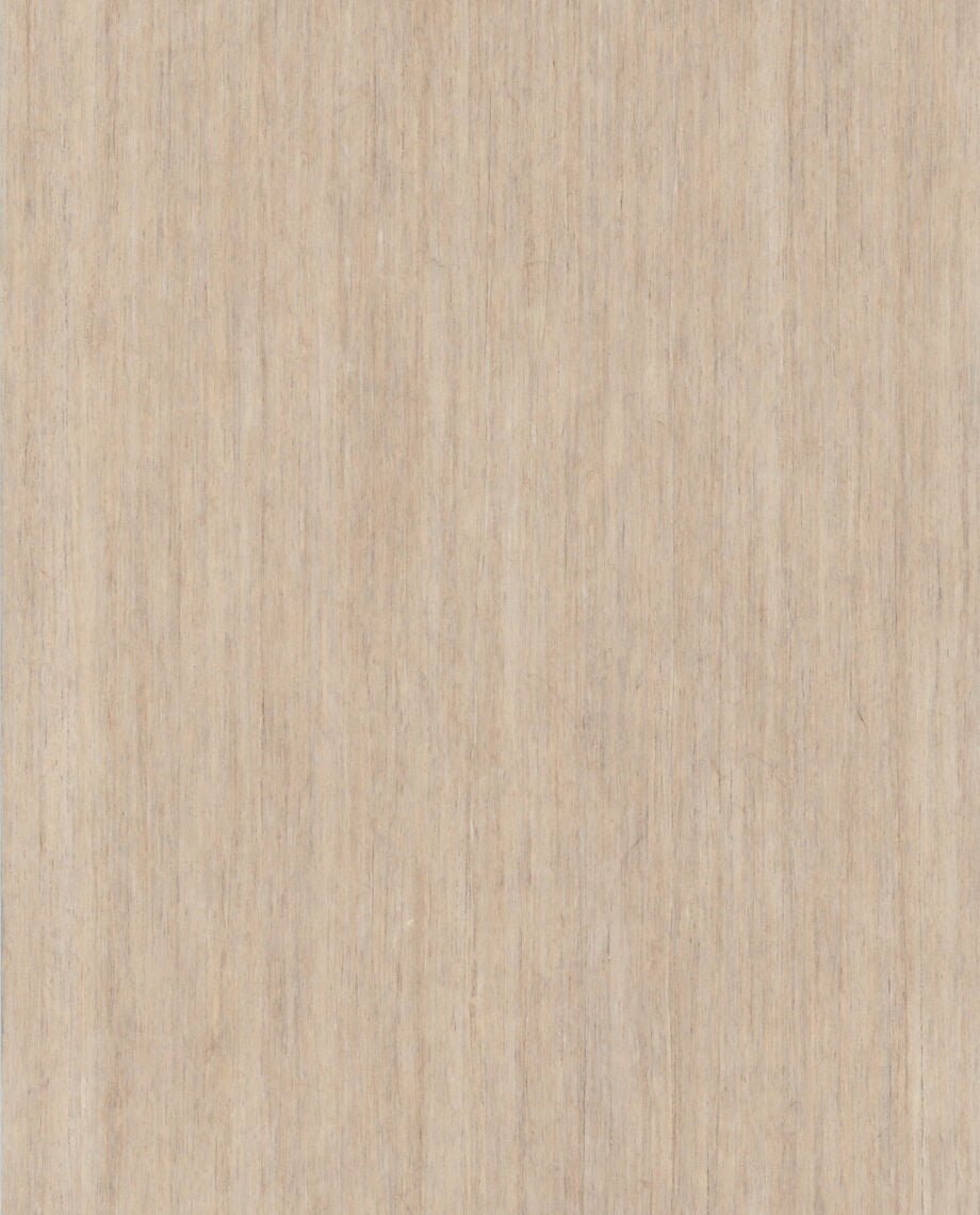 ekoa® Saldo