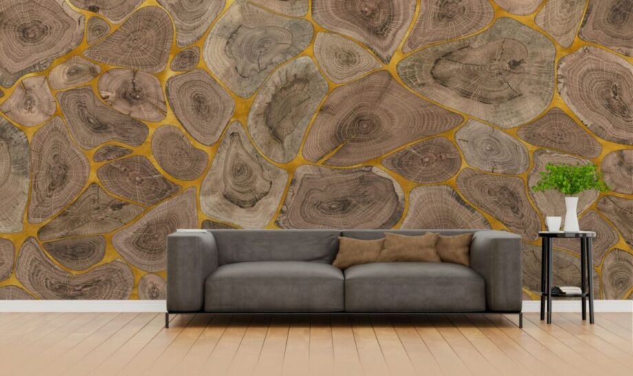 Tree Rings