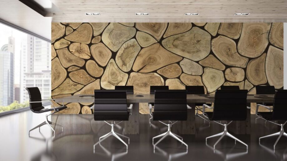 Tree Rings