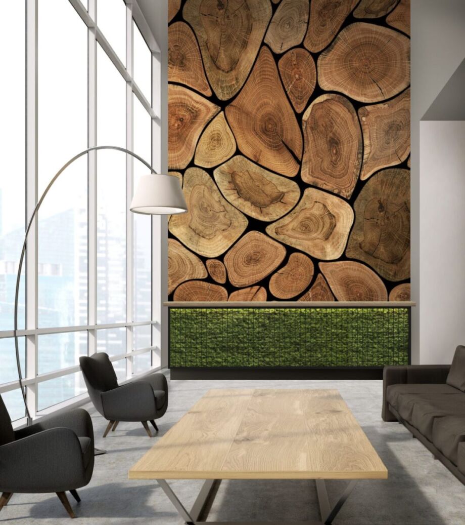 Tree Rings