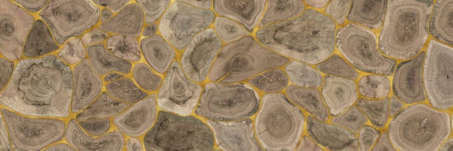 Tree Rings