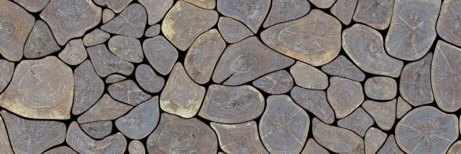 Tree Rings