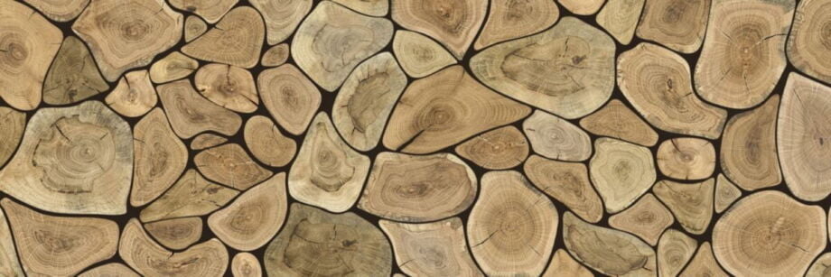 Tree Rings