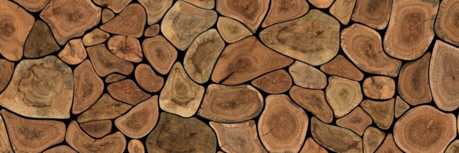 Tree Rings