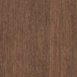 Ekoa