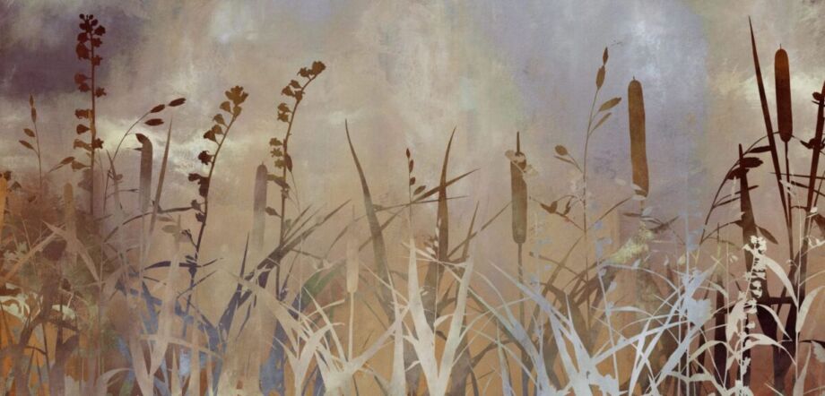 Cat Tails