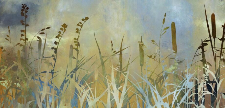Cat Tails