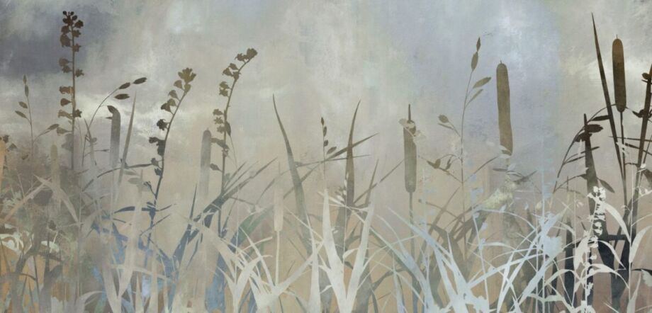 Cat Tails
