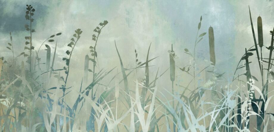 Cat Tails