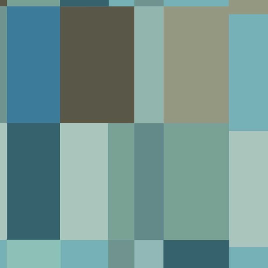 Vergence Bluge