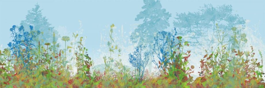 Wildflowers