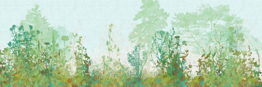 Wildflowers