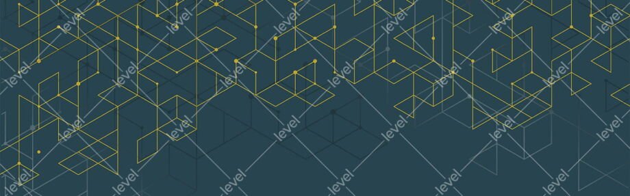 Wireframe