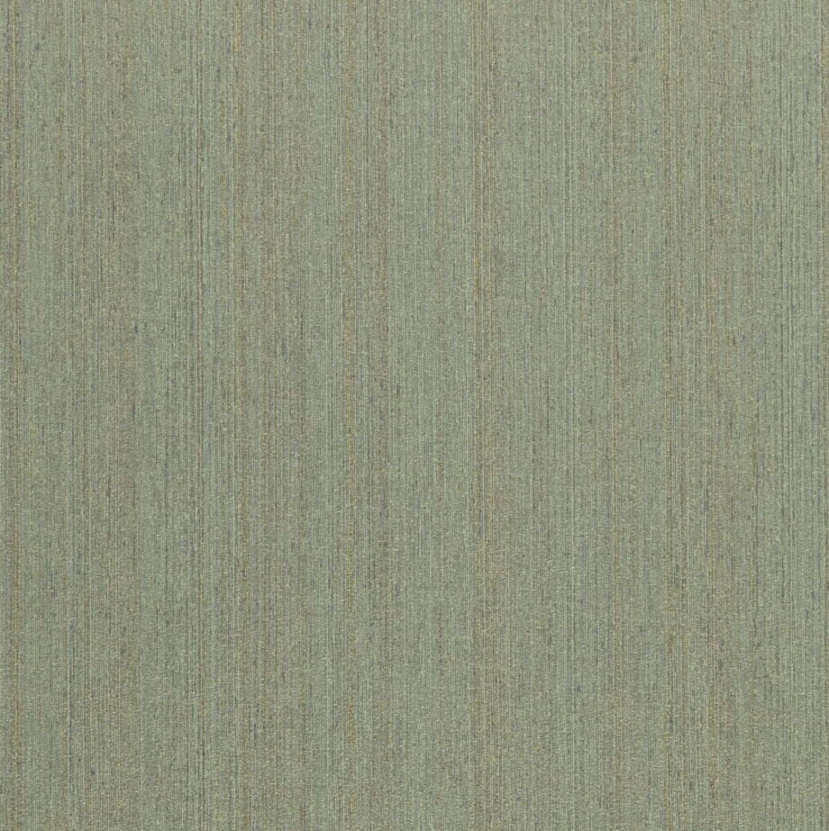 Invisicap