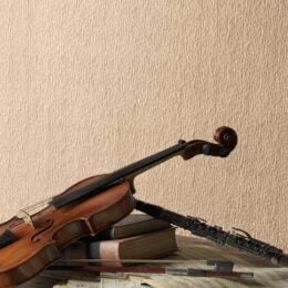 Acoustic Wall Crepe Wallcover by National Solutions