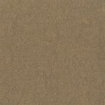 Plaster Primo