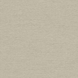 Canton Crepe Silk Matte - Silver Fern Wallcover