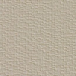 Anassa - Vermiculite Wallcover