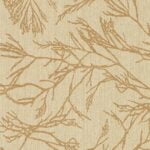 Canyon Willow