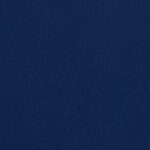 Matisse Texture - Blue Nude - Wallcover