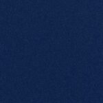Matisse Texture - Blue Nude Wallcover