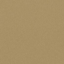 Matisse Texture - Champagne Gold Wallcover