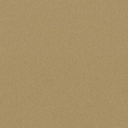 Matisse Texture - Champagne Gold Wallcover