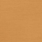 Shima Texture - Clementine - Wallcover