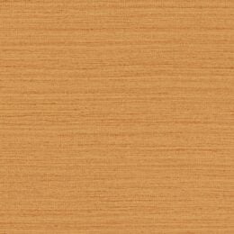 Shima Texture - Clementine Wallcover