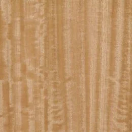 eucalyptusfiguredqc-260x260.