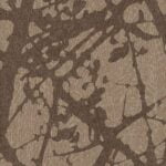 Canopy
